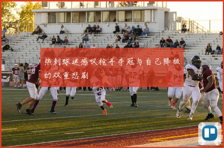 热刺球迷感叹枪手夺冠与自己降级的双重悲剧
